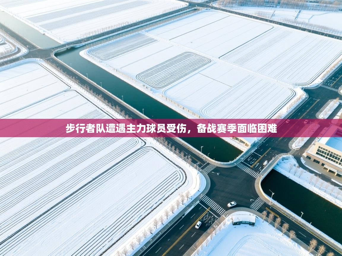 步行者队遭遇主力球员受伤，备战赛季面临困难